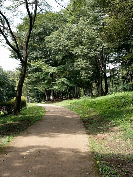 野鳥観察会（県立津久井湖城山公園）