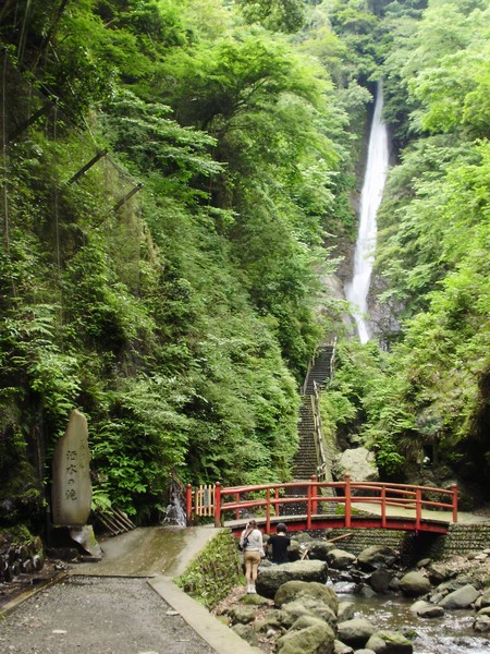 「山北町森林セラピー体験ツアー」参加者募集！