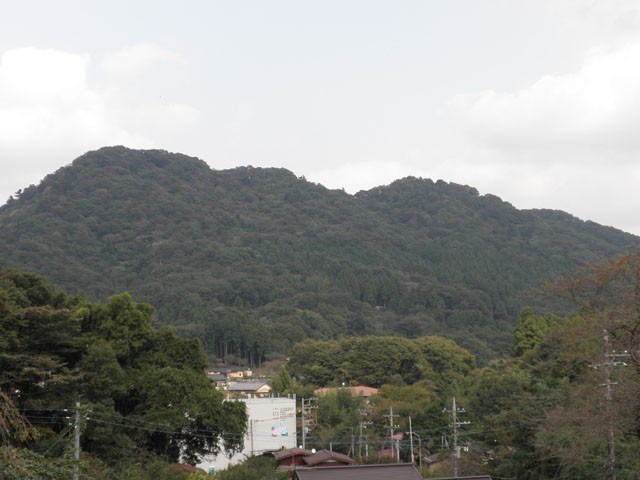 津久井城跡遺跡見学会