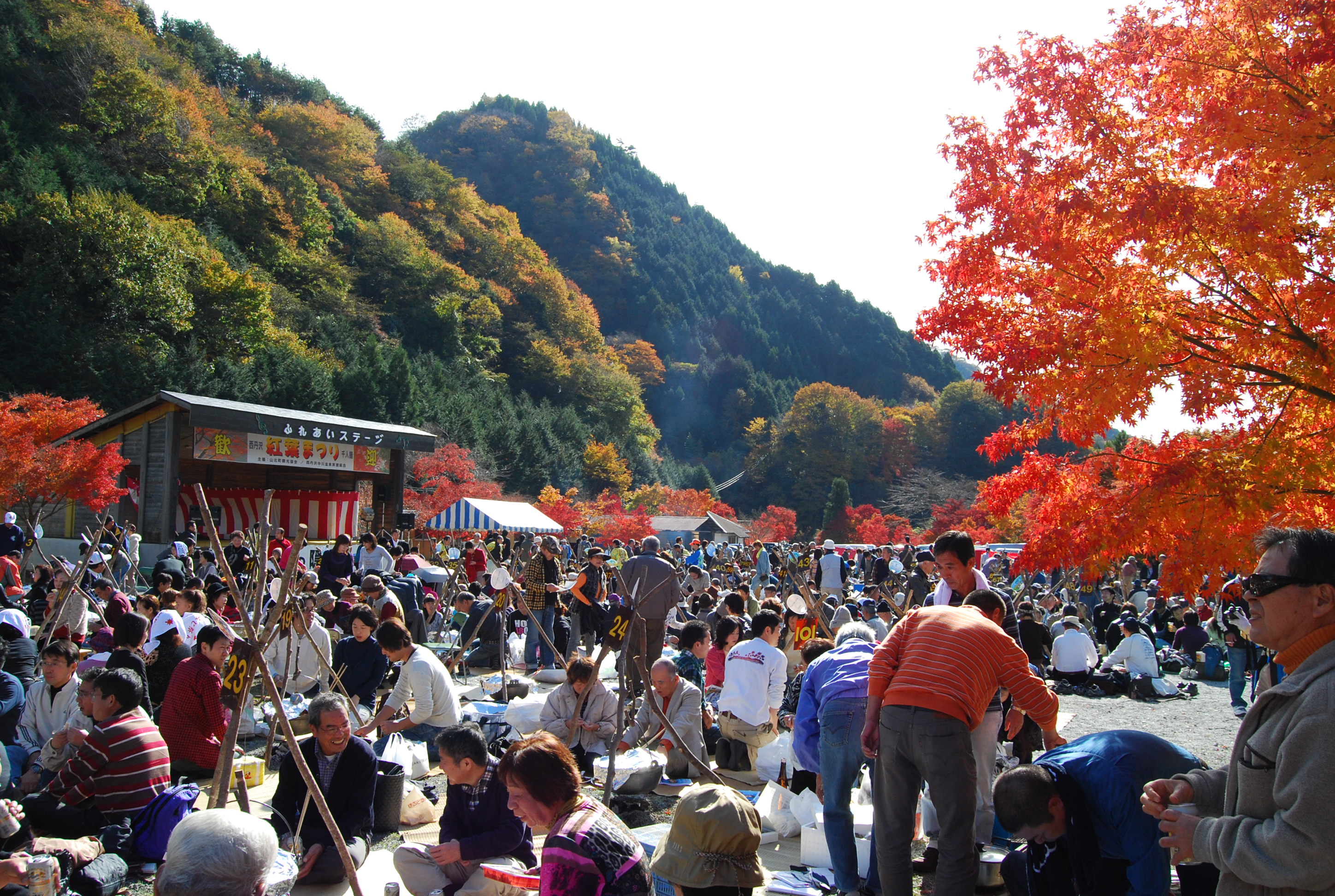 第50回西丹沢もみじ祭り 丹沢湖 イベント 丹沢湖 神奈川やまなみ五湖navi