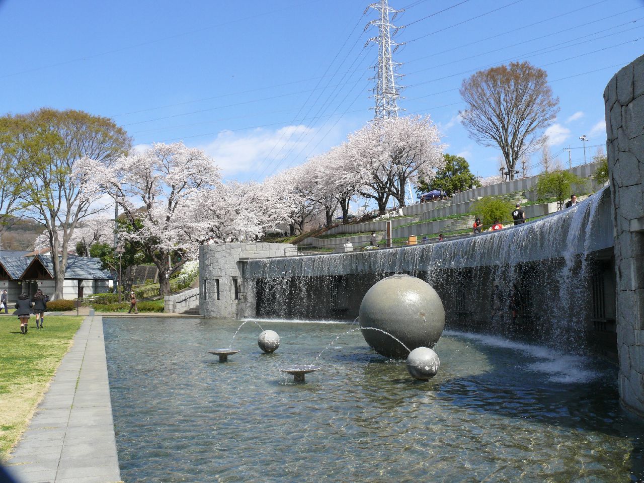 津久井湖さくらまつり（水の苑地）