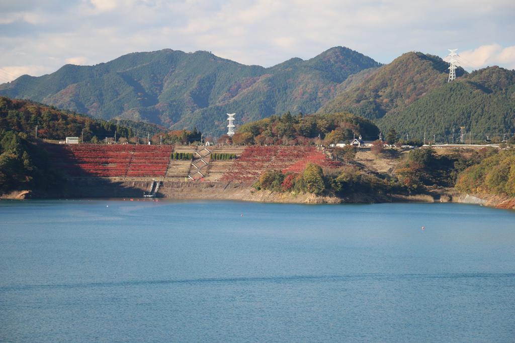 宮ヶ瀬湖の紅葉はもうすぐ見頃 イルミネーションの準備も進んでいます 宮ヶ瀬湖 宮ヶ瀬湖 神奈川やまなみ五湖navi