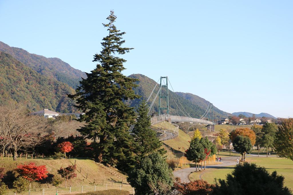 宮ヶ瀬湖の紅葉はもうすぐ見頃 イルミネーションの準備も進んでいます 宮ヶ瀬湖 宮ヶ瀬湖 神奈川やまなみ五湖navi