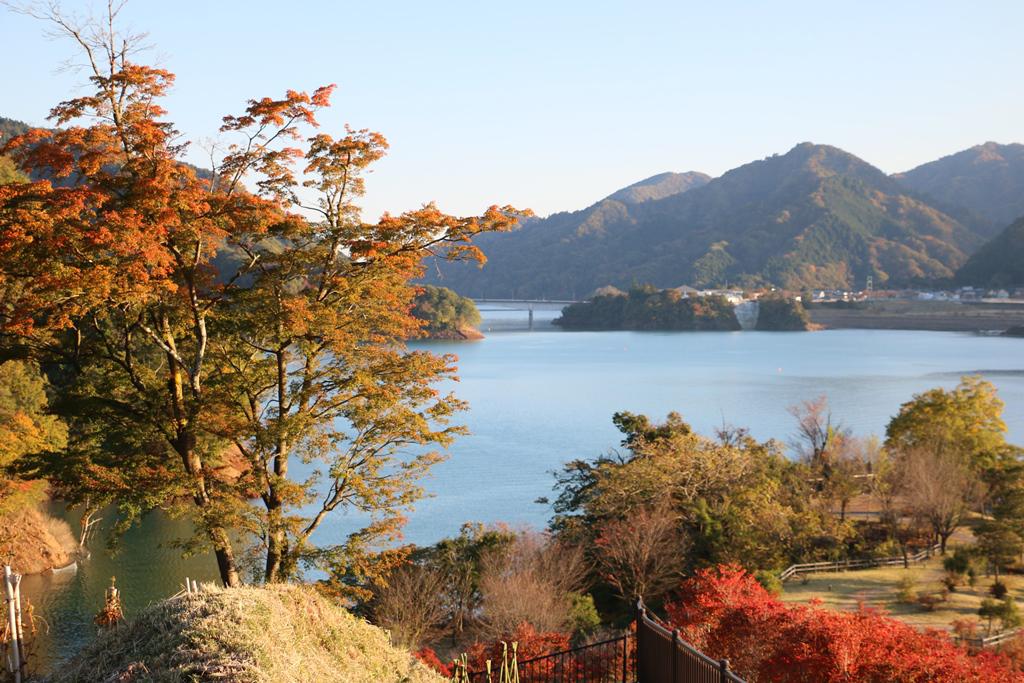 宮ヶ瀬湖の紅葉はもうすぐ見頃 イルミネーションの準備も進んでいます 宮ヶ瀬湖 宮ヶ瀬湖 神奈川やまなみ五湖navi