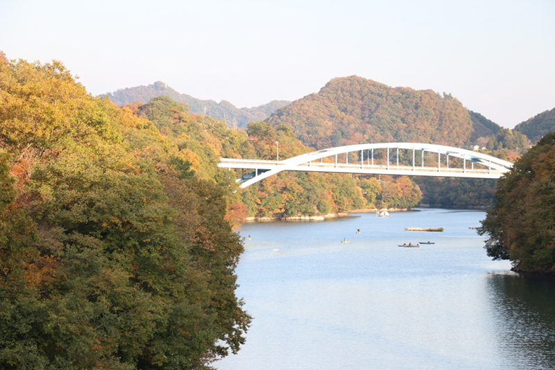 相模湖をまたぐ弁天橋から見る日連大橋(11月16日撮影)