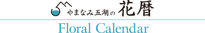 やまなみ五湖花暦カレンダー