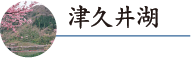 津久井湖のご紹介