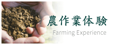 農作業体験