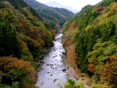 亀見橋から見た道志川のタイトル画像