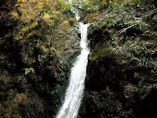 塩川の滝