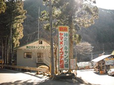 神之川キャンプマス釣り場