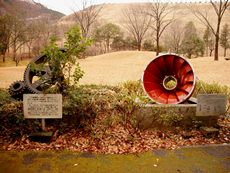 丹沢湖ダム公園広場