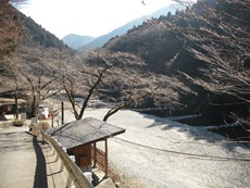 早戸川国際マス釣場