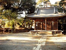 八幡神社の社叢林