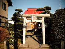 琴平神社