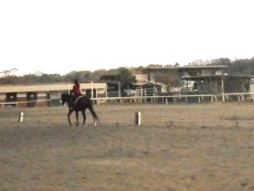 町田乗馬センター