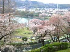 県立津久井湖城山公園