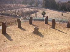 藤野園芸ランド・芸術の道コース