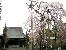 正念寺