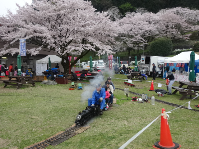 第20回津久井湖さくらまつり（花の苑地）