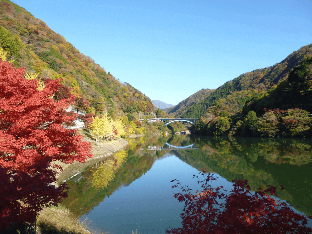 やまなみ五湖の紅葉風景 丹沢湖 奥相模湖 宮ヶ瀬湖 津久井湖 相模湖 丹沢湖 奥相模湖 宮ヶ瀬湖 津久井湖 相模湖 神奈川やまなみ五湖navi