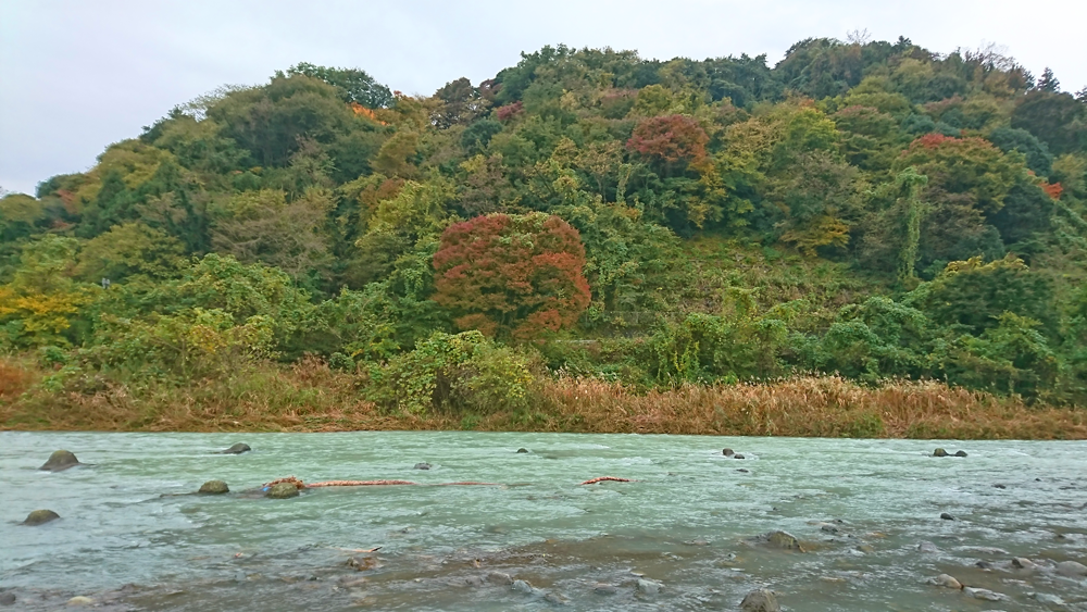 愛川町　中津川