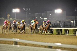 川崎競馬協賛レース