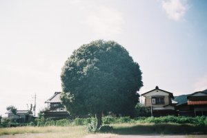 東京造形大学　写真専攻領域『相模湖エリアスタディ展』