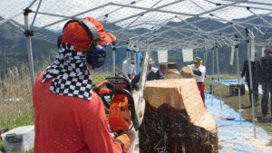 第７回神奈川チェンソーアート競技大会in山北町