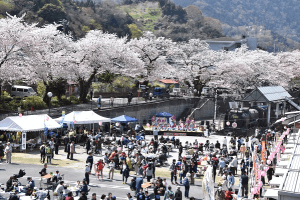 第46回やまきた桜まつり