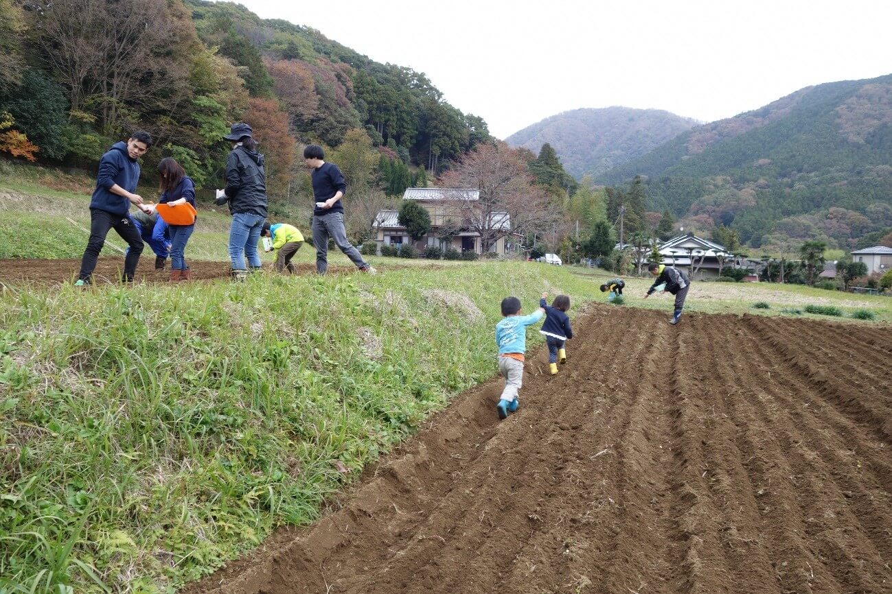 種まきの様子