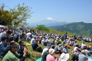 2019年 大野山開き