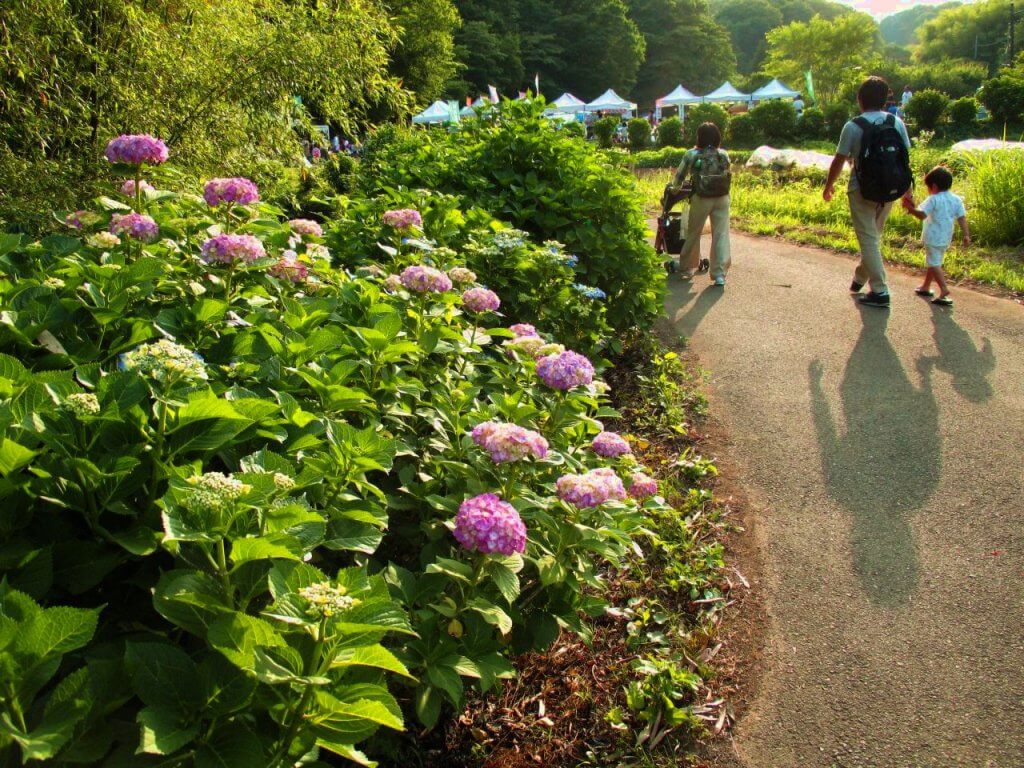 城北・里山まつり【中止】