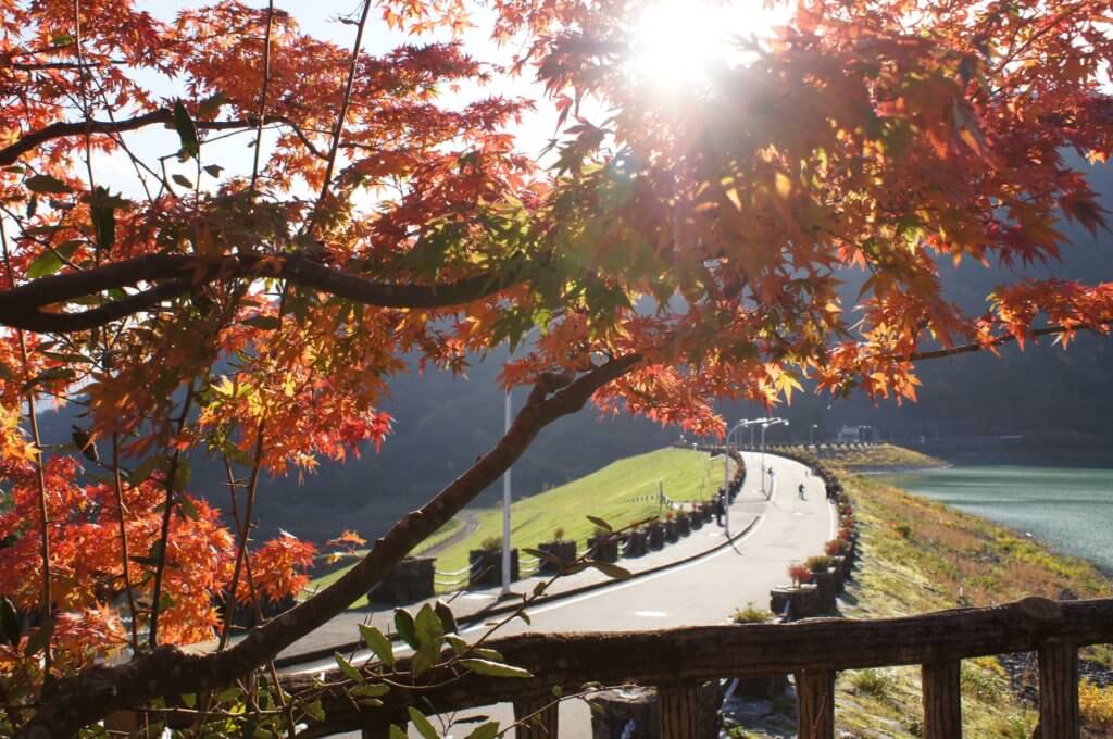 紅葉シーズンはやまなみ五湖へ 丹沢湖 宮ヶ瀬湖 相模湖 丹沢湖 宮ヶ瀬湖 相模湖 神奈川やまなみ五湖navi