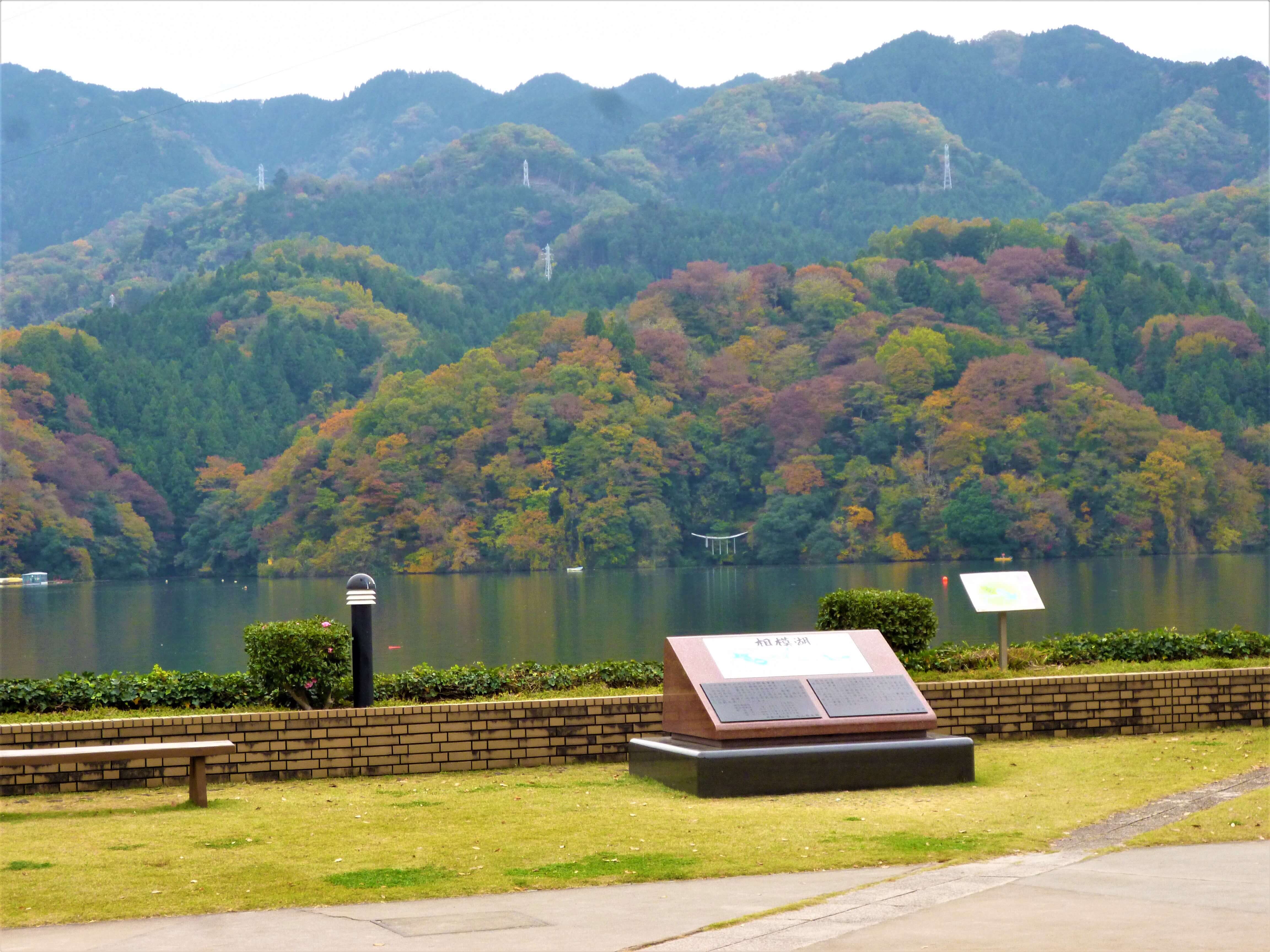 紅葉シーズンはやまなみ五湖へ 丹沢湖 宮ヶ瀬湖 相模湖 丹沢湖 宮ヶ瀬湖 相模湖 神奈川やまなみ五湖navi