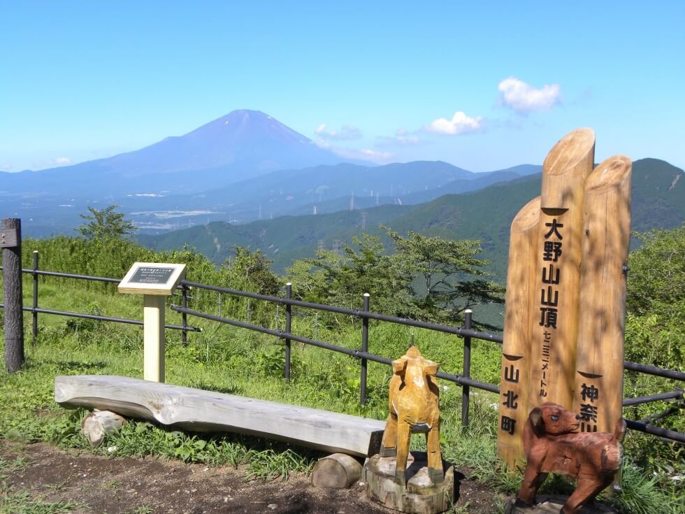 2022年 大野山開き