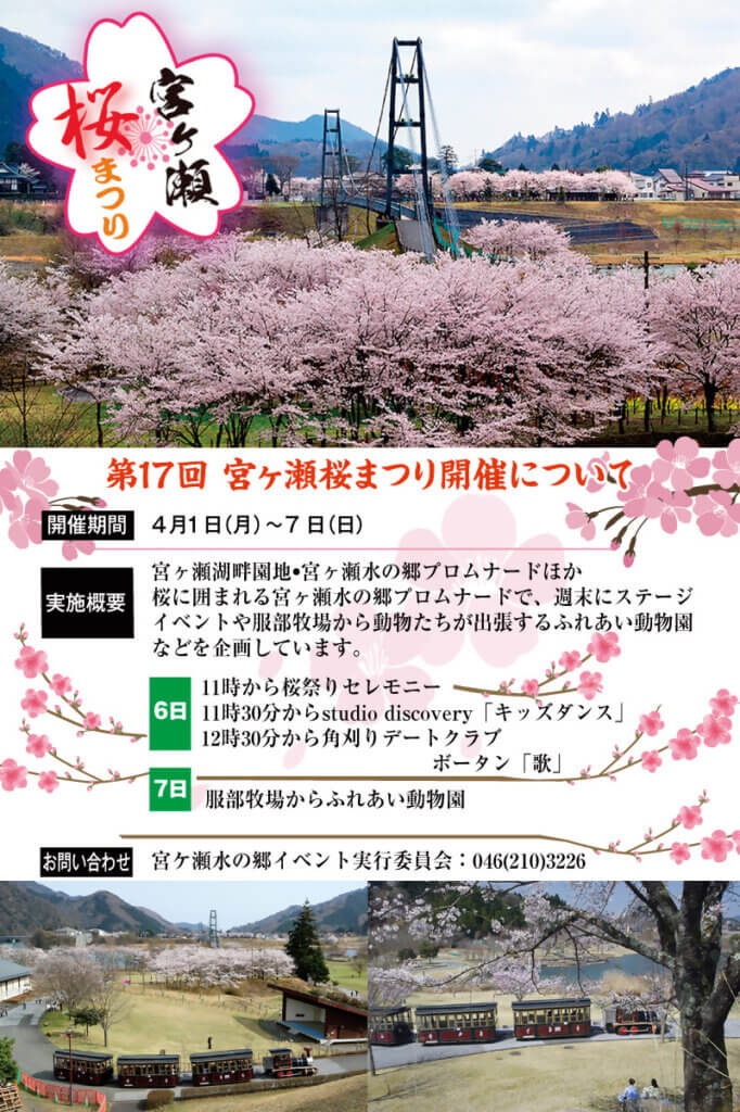 第１７回宮ヶ瀬桜まつり