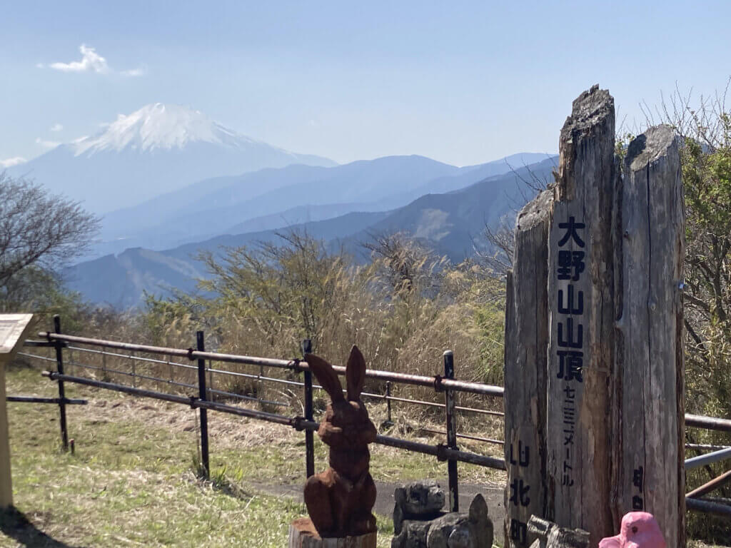 2025年 大野山山開き