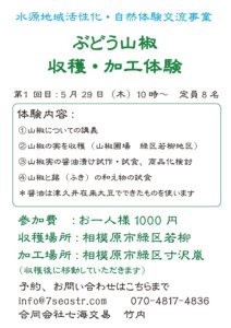 山椒　料理・加工体験<br>2025年第1回　５月２９日（木）10：00～12：00
