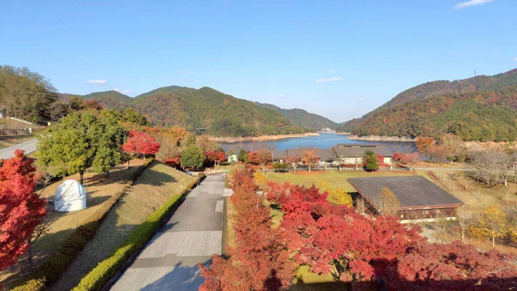 2025年11月14日撮影 場所:県立宮ヶ瀬やまなみセンター周辺