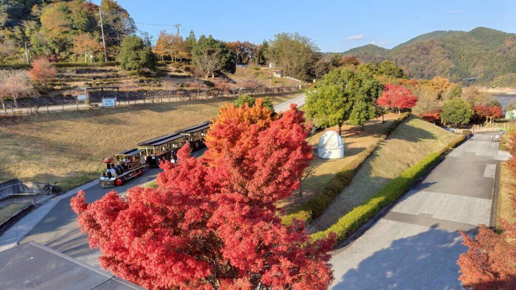 2025年11月14日撮影 場所:県立宮ヶ瀬やまなみセンター周辺