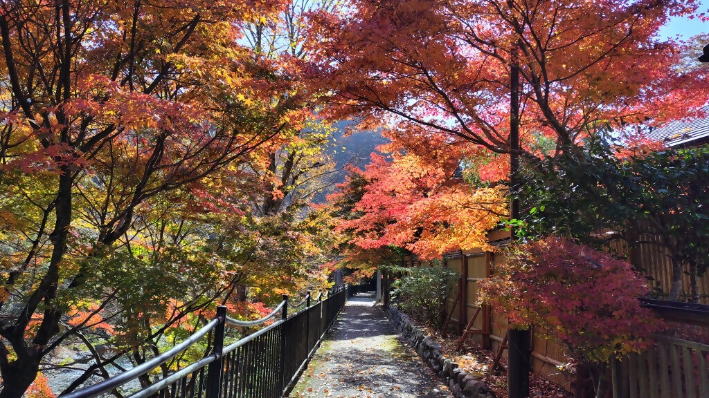 2025年11月15日撮影 場所:山北町立中川温泉ぶなの湯周辺