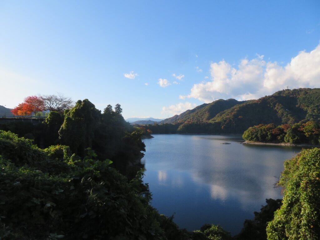 2025年11月10日撮影 場所:津久井湖