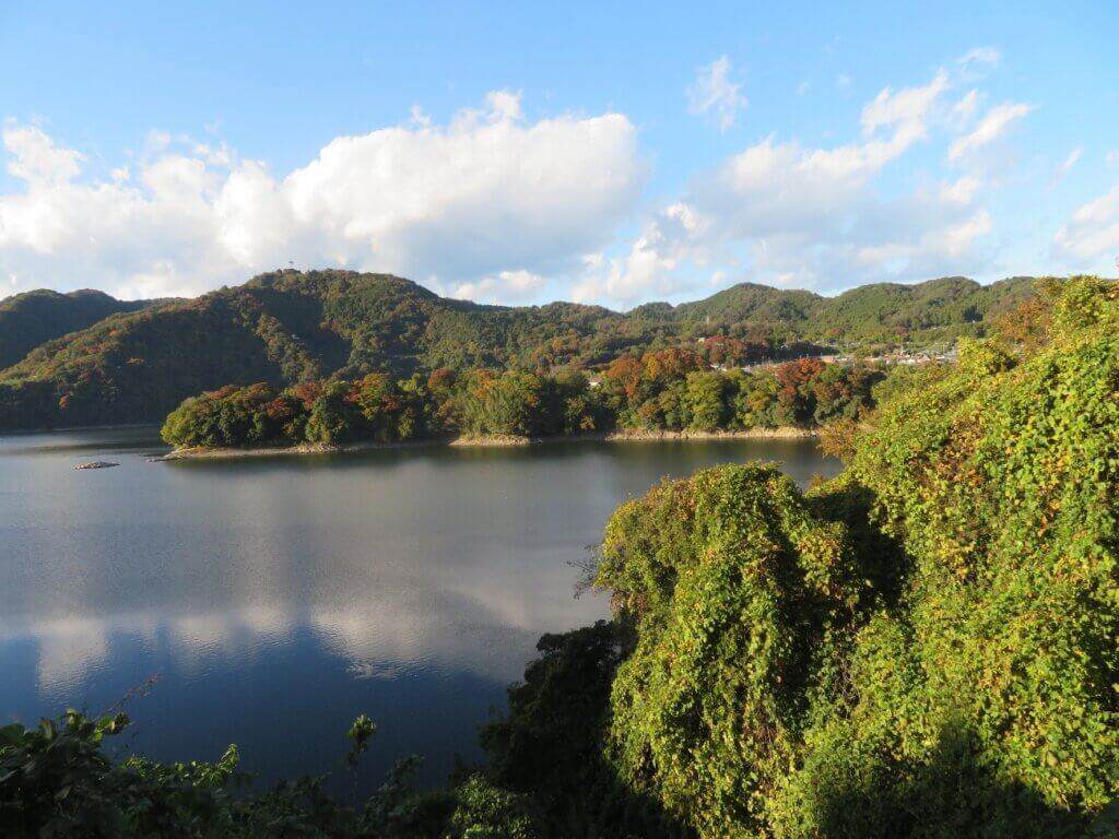 2025年11月10日撮影 場所:津久井湖