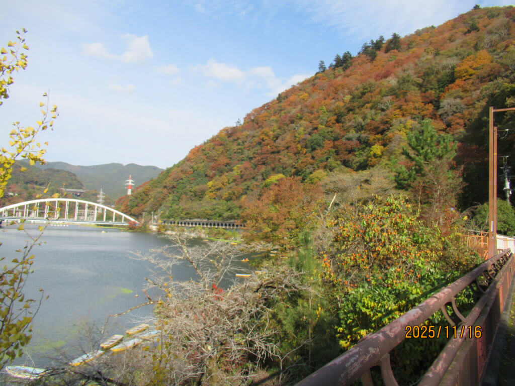 2025年11月16日撮影 場所:嵐山橋