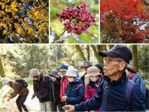 愛川の自然を歩き、学び、守る。　次代にバトンをつなぐ案内人　サークル愛川自然観察会の写真