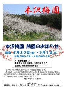 2026年　本沢梅園　開園
