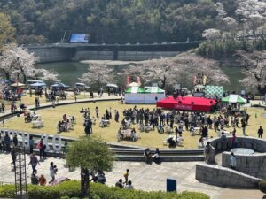 第28回津久井湖さくらまつり（水の苑地）