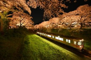 やまきた桜まつり2026のタイトル画像