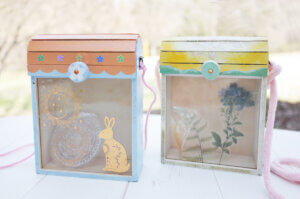 初夏限定　木の工房　採集箱作りのタイトル画像